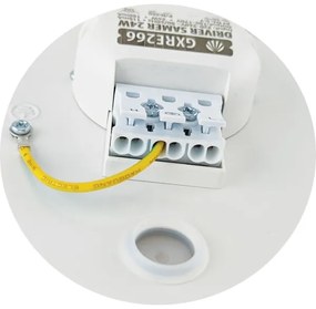 Plafonieră LED SAMER LED/24W/230V 4000K