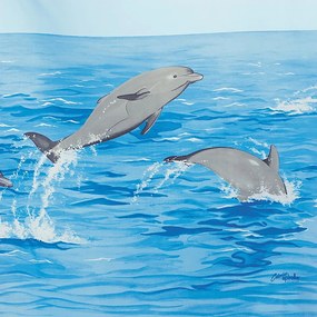 Perdea de duș 120x200 cm Nemo – Spirella