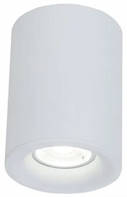 Spot aplicat de tavan/plafon Alfa MYC012CL-01W