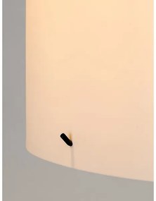 Lampadar IZANDER 1xE27/40W/230V alb/argintiu Rabalux 74012