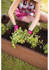 Pat ridicat de plante Maple – Keter