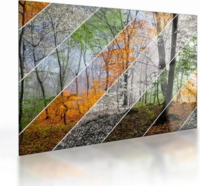 Tablou pe sticlă - Schimbarea anotimpurilor (70x50 cm)