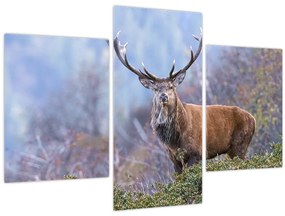 Tablou - Cerb în peisaj (90x60 cm)
