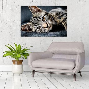 Tablou - Pisoi (90x60 cm)