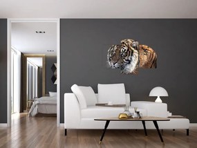 Tablou cu tigrul (90x60 cm)