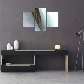 Tablou - Pene, macro (90x60 cm)