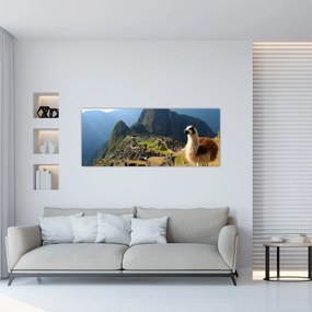 Tablou - Lama și Machu Picchu (120x50 cm)