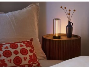 Ledvance - Lampă de birou LED dimabilă DECOR FILAMENT LED/1,2W/5V