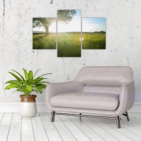 Tablou - Copac în câmp (90x60 cm)