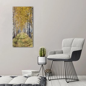 Tablou canvas Pădurea de mesteacăn