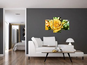 Tablou cu trandafir (90x60 cm)
