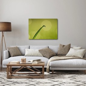 Tablou cu picătură de apă pe iarbă (70x50 cm)