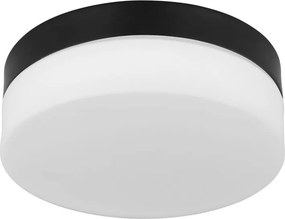Plafoniera pentru exterior design modern IP44 Vranos negru, opal