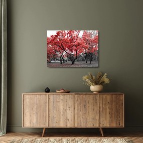 Tablou pe sticlă - Copacii roșii, Central Park, New York (70x50 cm)