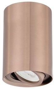 Spot aplicat tavan directionabil San alama