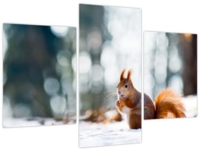 Tablou - Veveriță (90x60 cm)