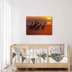 Tablou pe sticlă - Girafe în savana africană (70x50 cm)