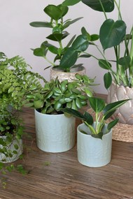 Ghiveci verde din portelan, cu model floral, H10.5/D10.5 cm, Fayence