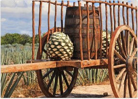 Tablou - Remorcă (70x50 cm)