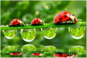 Tablou - Soarele celor șapte sori (90x60 cm)