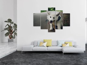 Tablou cu câinele alb (150x105 cm)