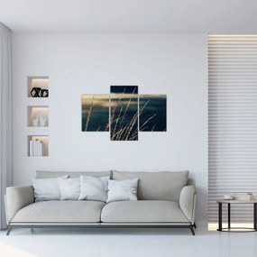 Tablou cu ierburi (90x60 cm)