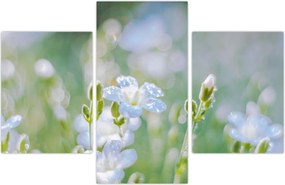 Tablou - Flori delicate (90x60 cm)