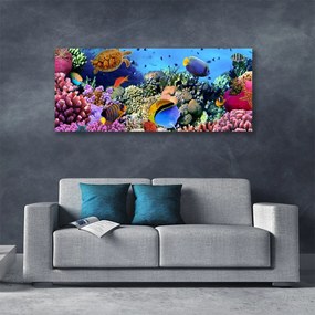 Tablou pe panza canvas Coral Reef Natura Multi