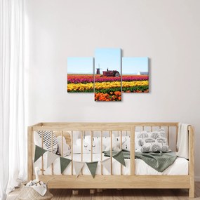 Tablou cu farma de lalele (90x60 cm)