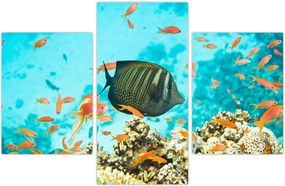 Tablou lumii submarine (90x60 cm)