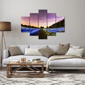 Tablou cu câmp colorat (150x105 cm)
