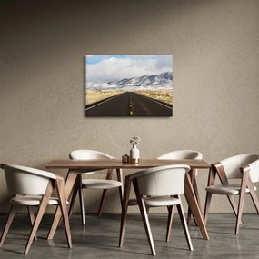 Tablou - Great Basin, Nevada, USA (70x50 cm)