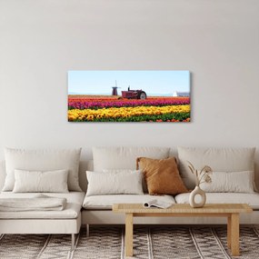 Tablou cu farma de lalele (120x50 cm)