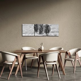 Tablou - Vaci scoțiene,alb-negru (cu ceas) (90x30 cm)