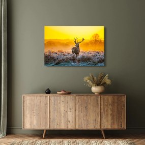 Tablou - Cerb la răsăritul soarelui (90x60 cm)