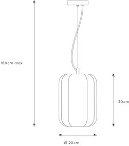 Lustră pe cablu FERN 1xE27/60W/230V Lucide 25409/01/30