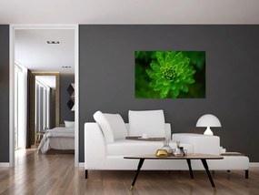 Tablou cu coniferi (90x60 cm)