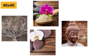 Set tablouri Feng Shui în design natural
