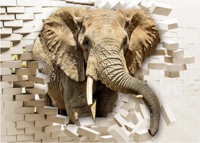 Tablou - Elefant spârgând peretele (70x50 cm)