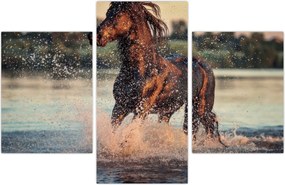 Tablou - Cal care aleargă (90x60 cm)