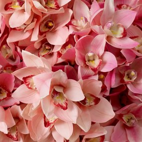 Buchet artificial LUX din 36 fire orhidee cymbidium, Orchids