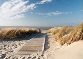 Tablou pe sticlă - Plaja cu nisip de pe insula Langeoog, Germania (70x50 cm)