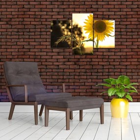 Tablou cu floarea soarelui (90x60 cm)