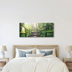 Tablou - trepte din lemn în pădure (120x50 cm)