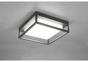 Corp de iluminat pentru exterior LED de perete (înălțime 10 cm) Witham – Trio