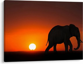 Tablou cu elefant în apus de soare (70x50 cm)