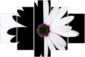 Tablou - Floare, alb- negru (150x105 cm)