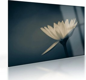 Tablou pe sticlă cu flori (70x50 cm)