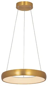 Lustra LED design modern circular Ring 40cm, Brushed Gold Matt