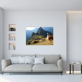 Tablou - Lama și Machu Picchu (90x60 cm)